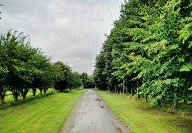 Randonnée Marche Perwez - Balade à la campagne et à la lisière du bois - Photo