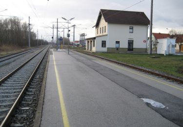 Tour Zu Fuß Gemeinde Schützen am Gebirge - Rundweg Schützen/Geb. Nord - Photo