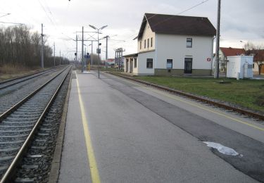 Tocht Te voet Gemeinde Schützen am Gebirge - Rundweg Schützen/Geb. Nord - Photo