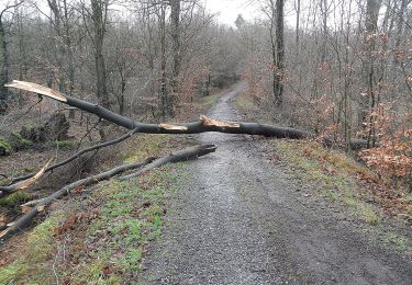 Tour Zu Fuß Unbekannt - Bissingheim Rundweg A2 - Photo