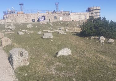 Excursión Senderismo Meyrueis - meyrues l'esperouvia le mont aigoual - Photo