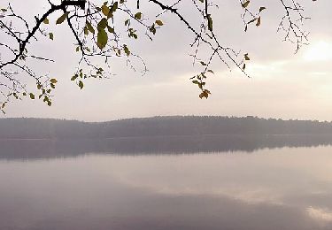 Tour Zu Fuß Feldberger Seenlandschaft - Krüseliner Rundweg - Photo