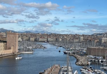 Tocht Stappen Marseille - Pharo  - Photo