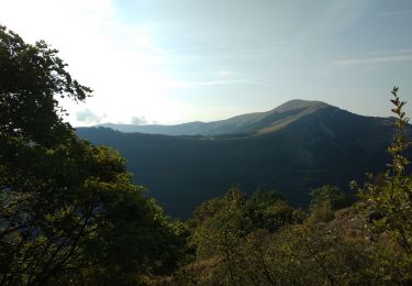 Trail Walking Saint-Vallier-de-Thiey - Montagne de Thiey - Photo