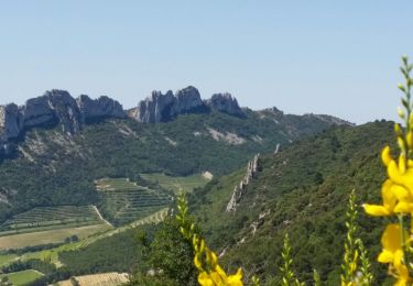 Tocht Mountainbike Malaucène - bedoin j2 - Photo