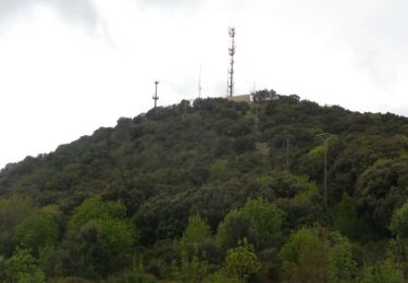 Trail Walking Faugères - pic du tantajo - Photo