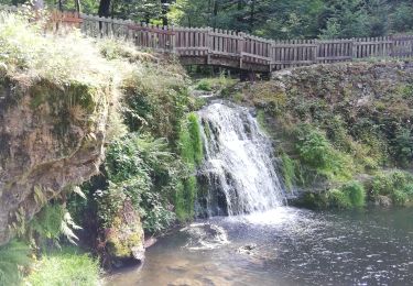 Excursión Senderismo Xertigny - 2023-07-16_08h55m05_circuit_le_gueu_du_saut_n2-1 - Photo