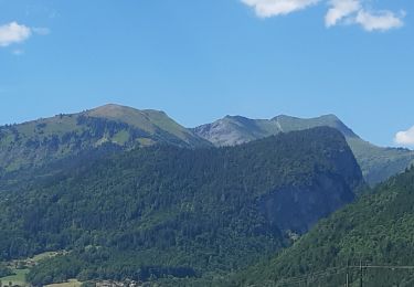 Randonnée Marche Samoëns - Samoens . gorges des tines - retour  - Photo