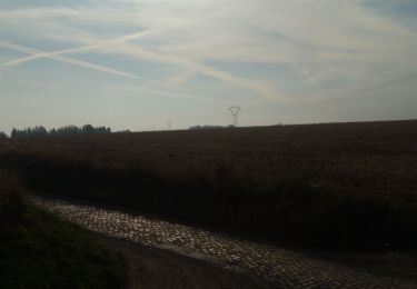 Tour Wandern Quérénaing - la querenaingeoise trace faite - Photo