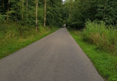 Tour Rollerblading Falkenburg an der Göhl - Valkenburg aan de Geul roller - Photo