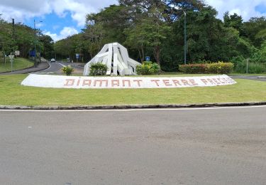 Tour Wandern Le Diamant -  Boucle Diamant via Morne Larcher - Photo