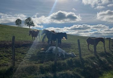 Tocht Stappen Arnay-le-Duc - Arnay-le-Duc - Photo