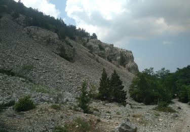 Trail Walking Bédoin - MT Ventoux ST Colombe 15 juin 2021 (IBP 132) CAF - Photo