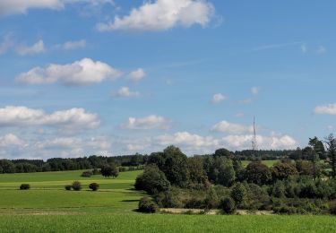 Excursión Senderismo Léglise - rando louftemont 14-09-2023 - Photo