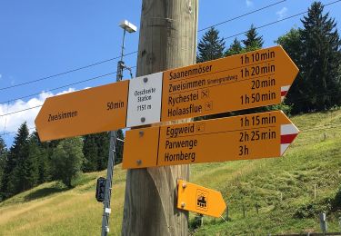 Trail On foot Zweisimmen - Eggweid Mittelstation - Oeschseite - Photo