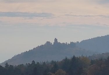 Trail Walking Eguisheim - Randonnée 5 châteaux - Eguisheim - château d'Hagueneck - château de Hohlandsbourg - trois châteaux d'Husseren - Photo