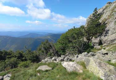 Excursión Senderismo Borne - Du col de Meyrand au sommet du Tanatgue - Photo