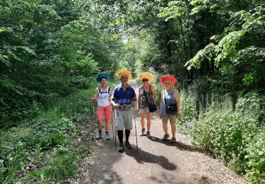 Trail Walking Binche - Buvrinnes gare de Biennes - Photo