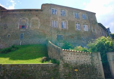 Tocht Stappen Marsac-en-Livradois - l'étang de Riols  - Photo