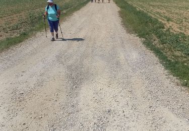 Randonnée Marche Aix-Villemaur-Pâlis - Aix GRBA  - Photo