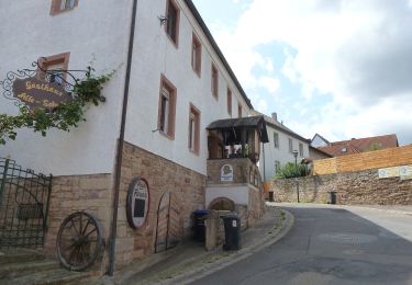 Randonnée A pied Bad Kreuznach - INTROtour Ebernburg - Photo