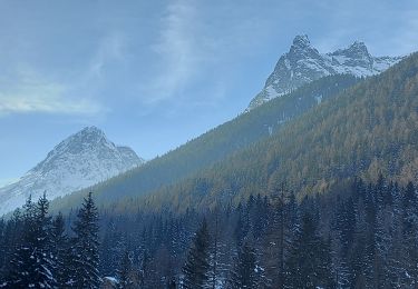 Tour Schneeschuhwandern Vallorcine - 20230129 Vallorcine Le Buet - Photo