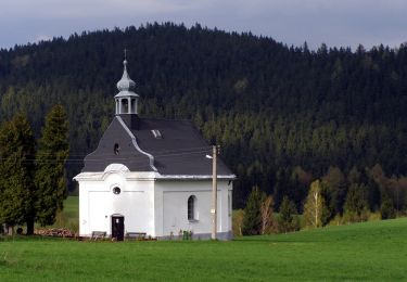 Tour Zu Fuß Hannsdorf - [Ž] Sklené - Vysoké Žibřidovice - Photo