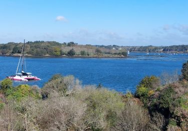 Trail Walking Île-aux-Moines - PR_56_Ile-Aux-Moines_AA_01_Le-Tour-De-L-Ile-Aux-Moines_Circuit1b_20230415 - Photo