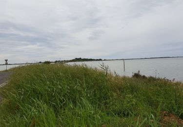 Randonnée Marche Villeneuve-lès-Maguelone - Presque île de villeneuve les maguelone - Photo