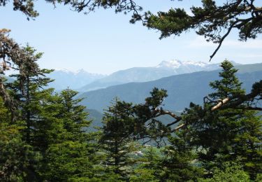 Trail On foot Saint-Martin-de-Clelles - Chemin du Goutaroux - Photo