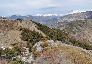 Tocht Stappen Esparron - Rocher de Saint-Pierre - Photo