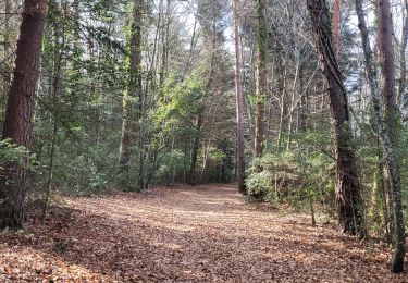 Tocht Stappen Plan-d'Aups-Sainte-Baume - Plan D'Aups la grotte Betton - Photo