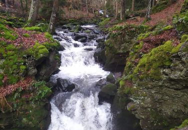 Randonnée Marche Besse-et-Saint-Anastaise - 2024 02 11 Besse - Circuit des cascades de Chiloza - Photo