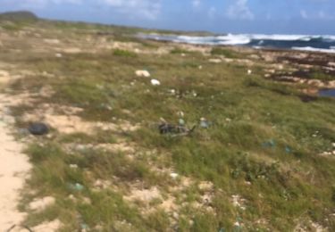 Trail Walking Saint-François - Le littoral  - Photo