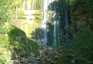 Excursión Senderismo Bonlieu - Cascade du Hérisson - Photo