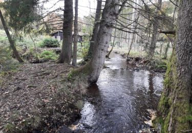 Trail Walking Manhay - Dochamps 271020 - Photo