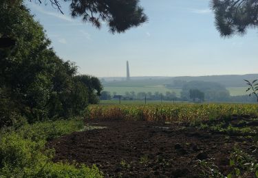 Tocht Stappen 's-Gravenbrakel - Promenade Piedescaus - Photo