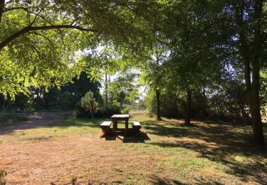 Trail Walking Mazères - Le Raunier:16819 - Photo