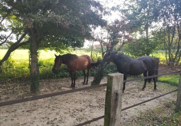 Tour Wandern Tardinghen - les 2 caps - Photo