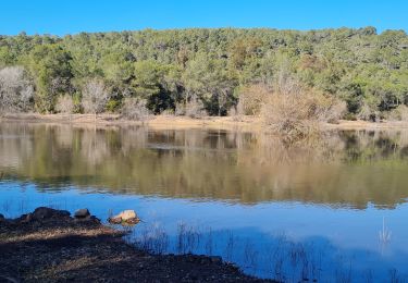 Excursión Senderismo La Crau - la navarre 3 - Photo