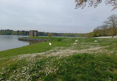 Percorso Marcia Froidchapelle - Barrage de l'eau d'heure  - Photo