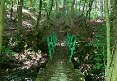 Tour Wandern Ferrières - Rouge Minière  - Photo