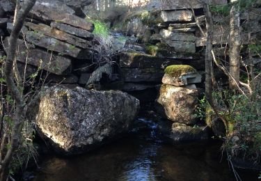 Tour Zu Fuß  - Öjesjön - Östra Sottjärnet - Photo