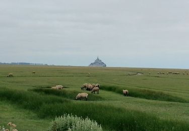 Tour Wandern Huisnes-sur-Mer - Mont-St-Michel - 14km 64m 4h30 - 2017 06 26 - Photo
