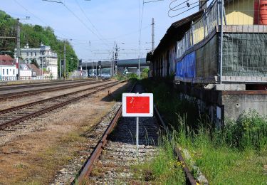 Excursión A pie Desconocido - Stadtwanderweg 1a - Leopoldsberg - Photo