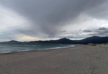 Tour Wandern Argelès-sur-Mer - mas larrieu - argeles / l hiver - Photo