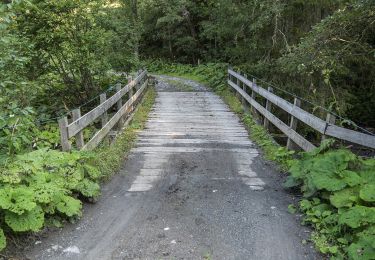 Tour Zu Fuß Mels - Walabütz Untersäss-Vorsiez - Photo