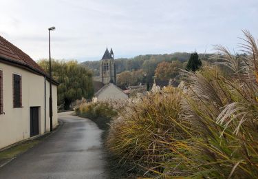 Trail Walking Villenauxe-la-Grande - Boucle Dival Nesle Villenauxe-la-Grande  - Photo