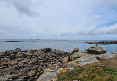 Excursión Senderismo Lanildut - Aber ildut jusqu'à porsall - Photo