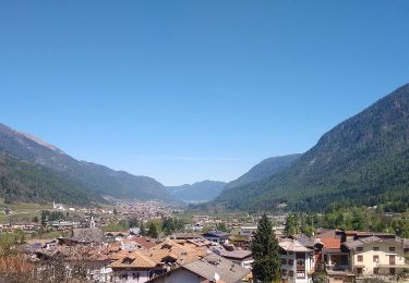 Percorso A piedi Cles - Sentiero della Val dei cavai - Photo